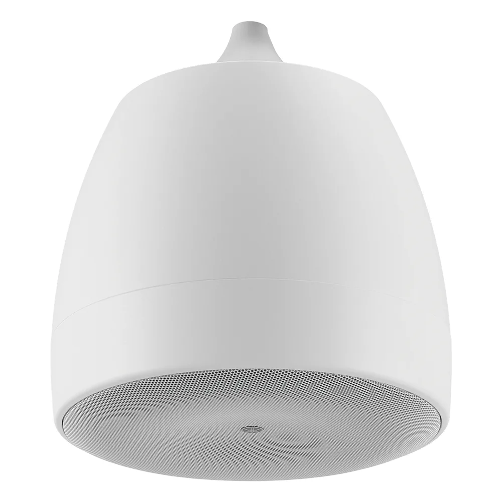 Altavoz Colgante Comercial | 6.5 in | 2 Vias | 300w | 8 Ohms | 70v/100v | Blanco