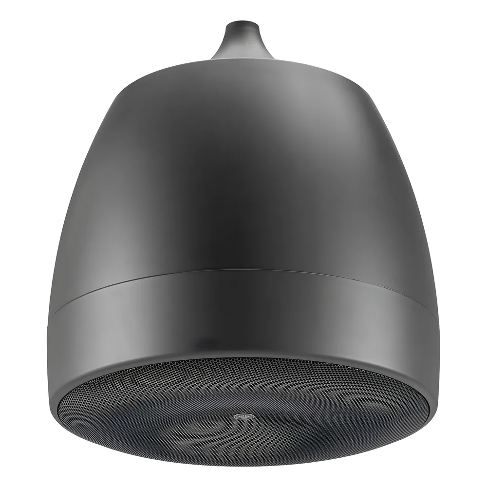 Altavoz Colgante Comercial | 6.5 in | 2 Vias, 300w | 8 Ohms | 70v/100v | Negro