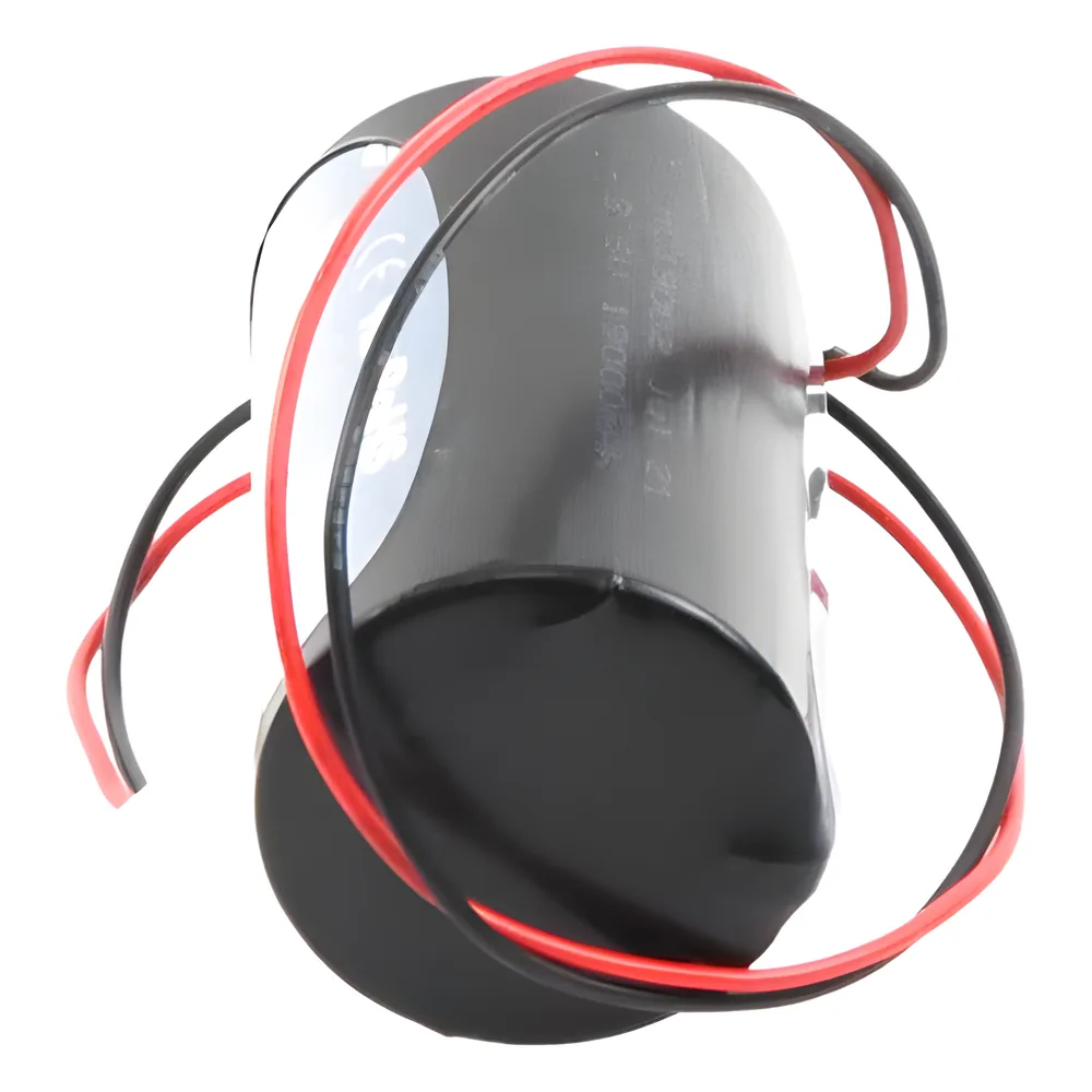 Bateria de 3.6V a 19Ah para ALESWS – vista 4