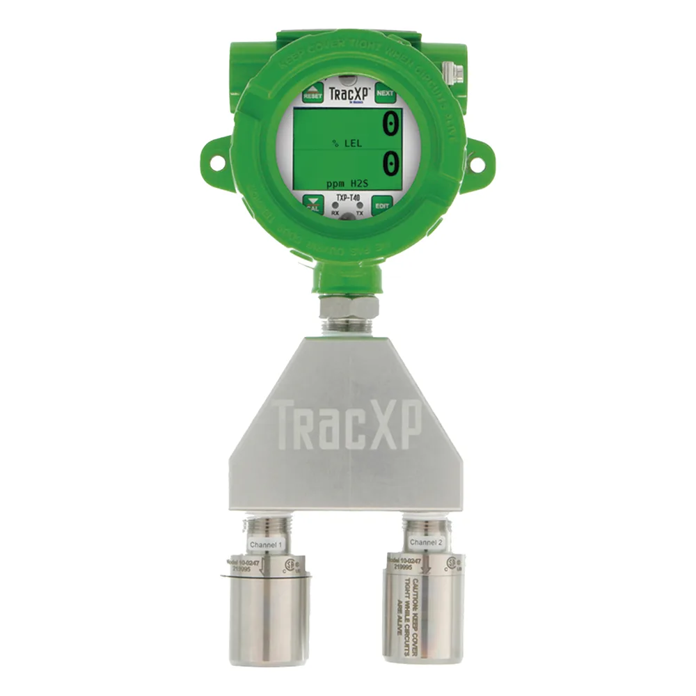 Monitor de Gas de Sensor Dual | Clase 1 Div. 1 | No Incluye Detectores